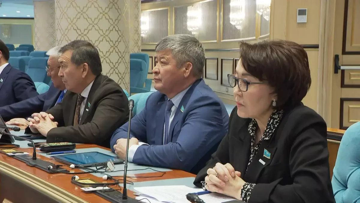 Үнзила Шапақ: Вице-президент институты билік транзиті кезіндегі тұрақтылық үшін қажет