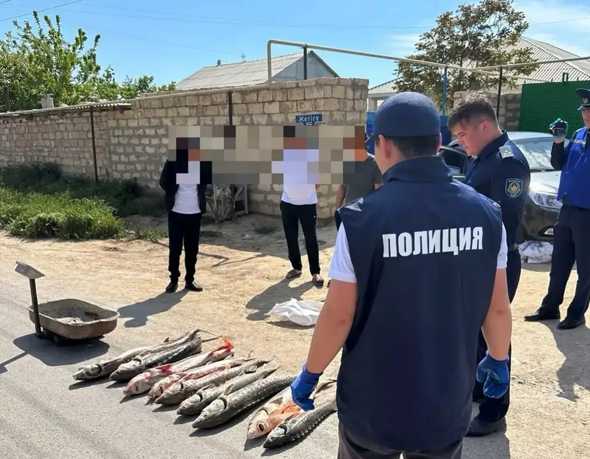 Двойной «улов»: вблизи Актау полицейские изъяли осетров и гашиш - новости на Lada.kz 20.05.2026