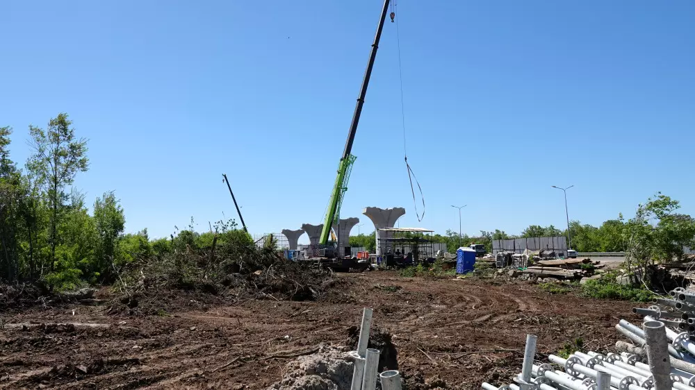 Қосшы бағытындағы LRT құрылысы аумағында құлаған ағаштар байқалды: не болып жатыр?