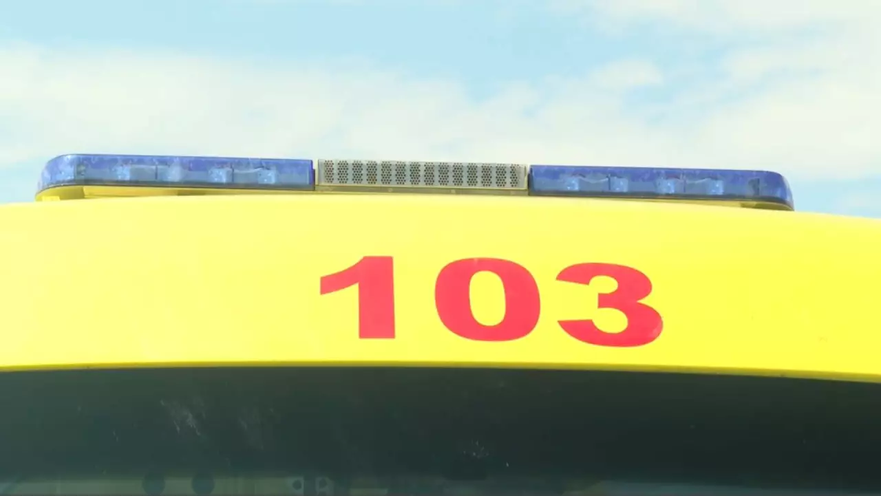 Биыл 7776 адамды кене шаққан