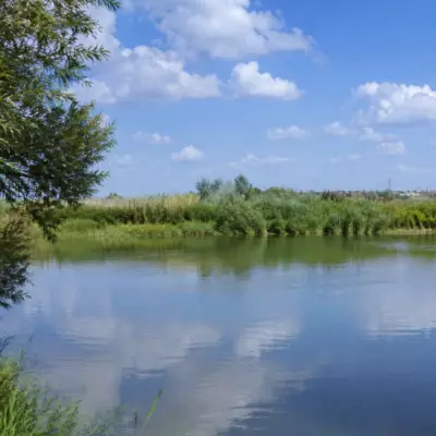 Девушку нашли мёртвой в водоёме Аркалыка