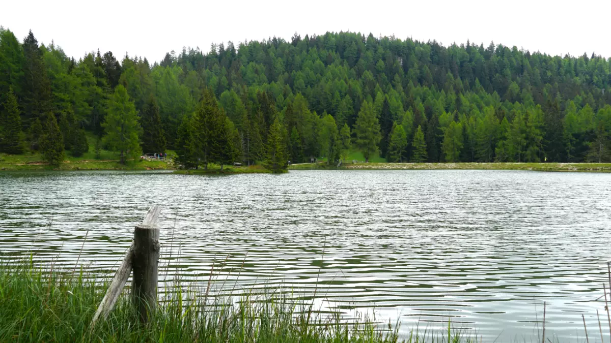 Тело девушки нашли в водоёме в Аркалыке