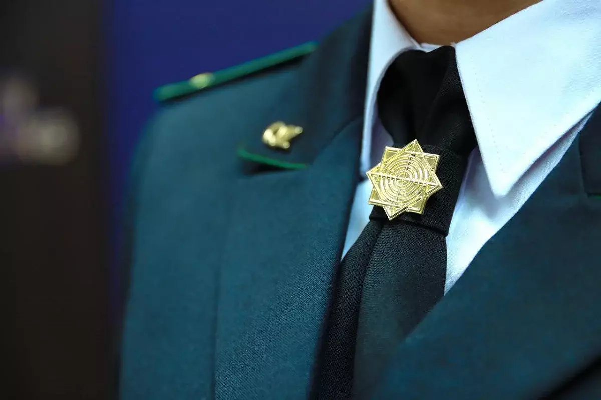 Жамбыл облысында WhatsApp арқылы жұмыс істеген қаржы пирамидасы анықталды