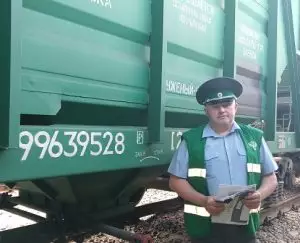 В Курской области в партии подсолнечника из Казахстана обнаружена опасная амброзия.