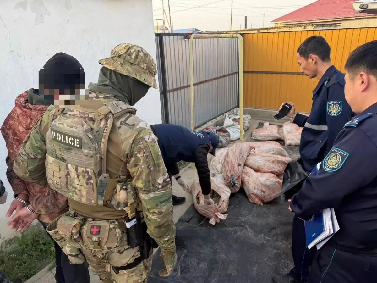 Атырауда заңсыз бекіре балығын аулағандар ұсталды