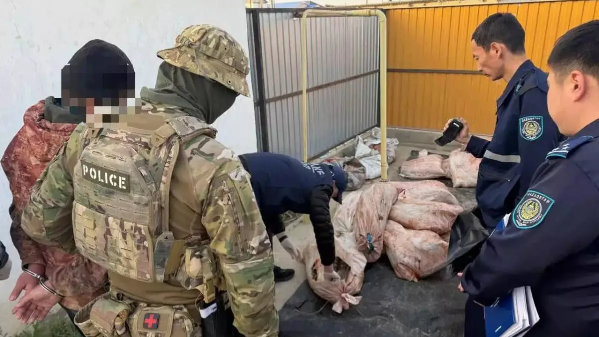 Более 4 тонн рыбы и килограмм икры изъяли у браконьеров в Атырауской области