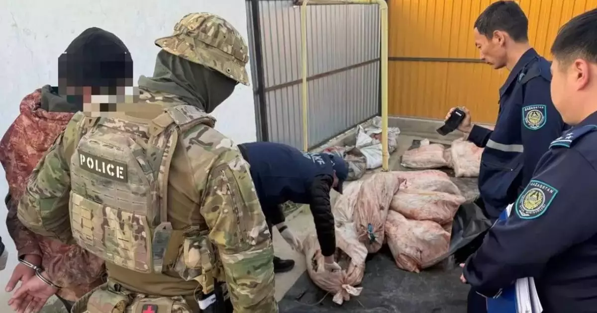  Атырауда 4 тоннадан астам заңсыз балық өнімі тәркіленді 