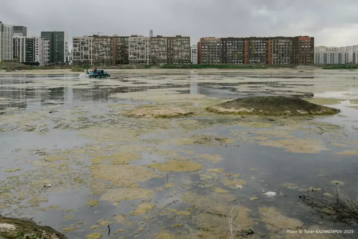 В Астане начали благоустраивать экопарк на Малом Талдыколе