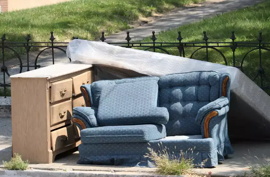 Ақтөбеде қоқыстан шақалақ табылды