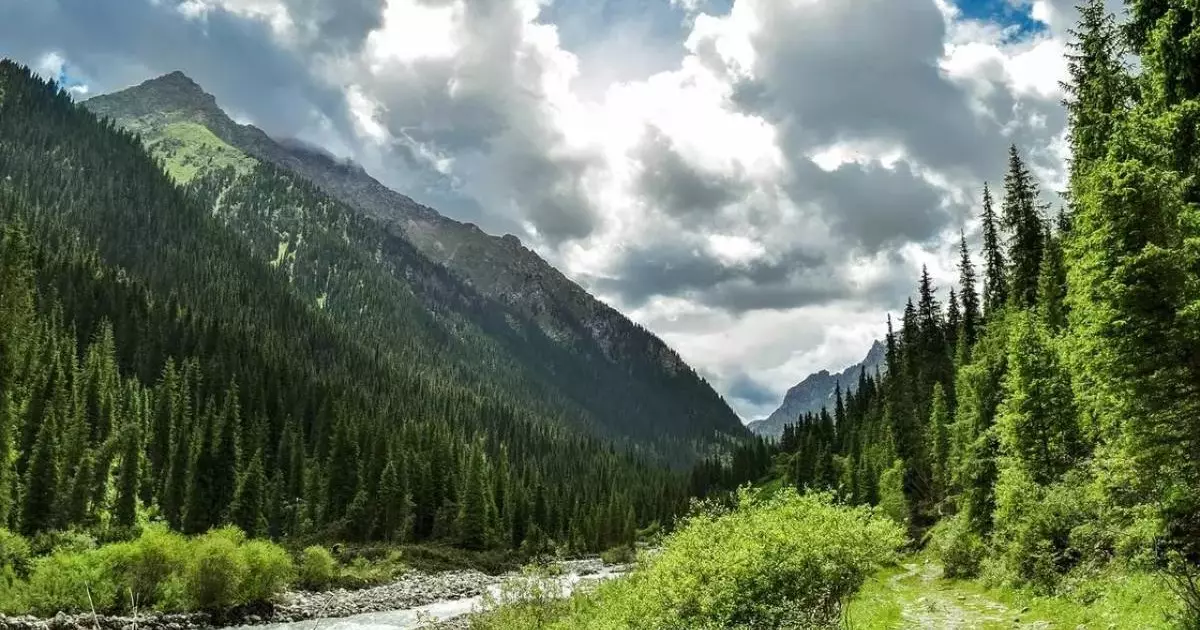  Аида Балаева: Almaty Superski таудағы туризмді жауапты дамытудың үлгісіне айналуға тиіс 
