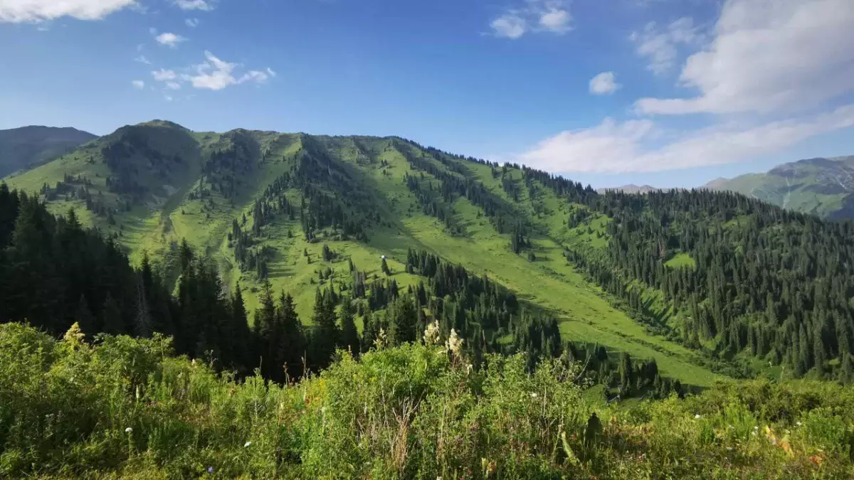 Әлемдік деңгейдегі тау шаңғысы курорты: экономист Almaty Super Ski жобасының перспективаларын түсіндірді