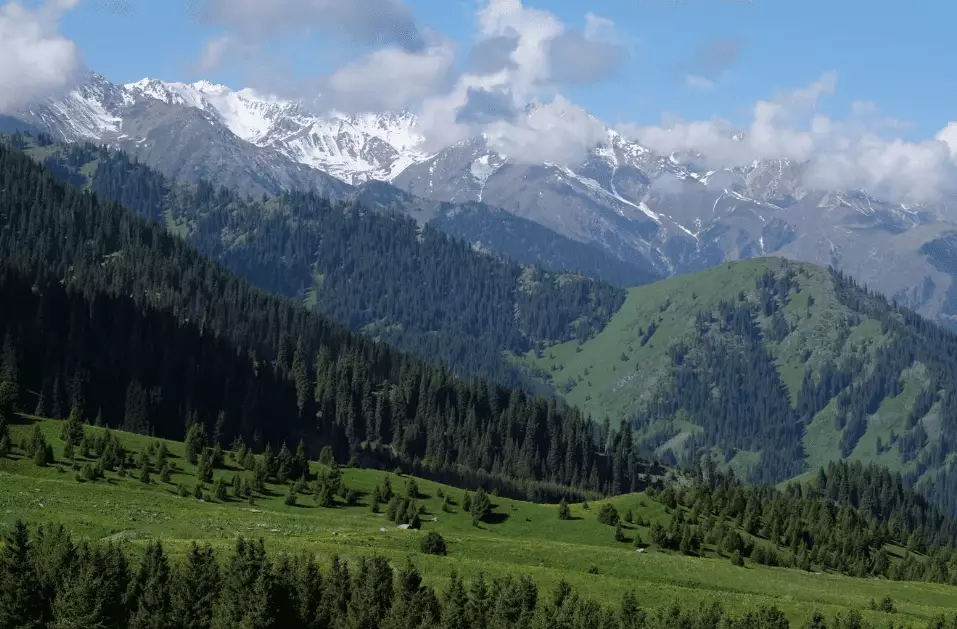 На слушаниях по Almaty SuperSki обсудили рабочие места, туризм и развитие горного кластера