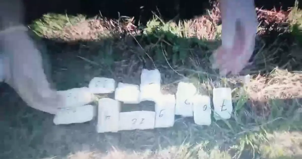  Шығыс Қазақстанда есірткі тасымалдаумен айналысқан күдіктілер ұсталды 