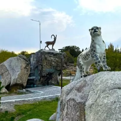 Зеленая модернизация: в области Жетісу строят сразу три масштабных экопарка для семейного отдыха