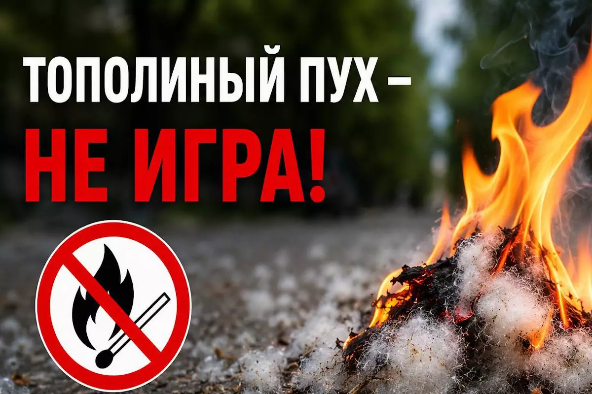 Поджог пуха может закончиться штрафом или уголовным делом