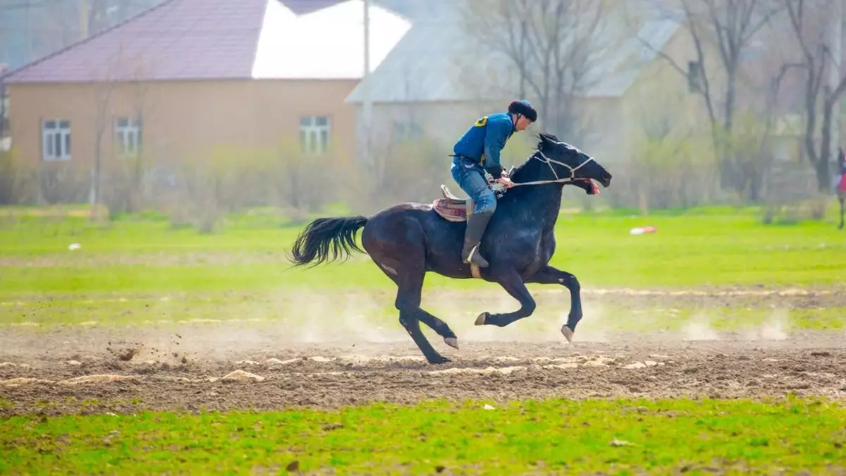Подросток погиб во время игры в кокпар в Акмолинской области 
