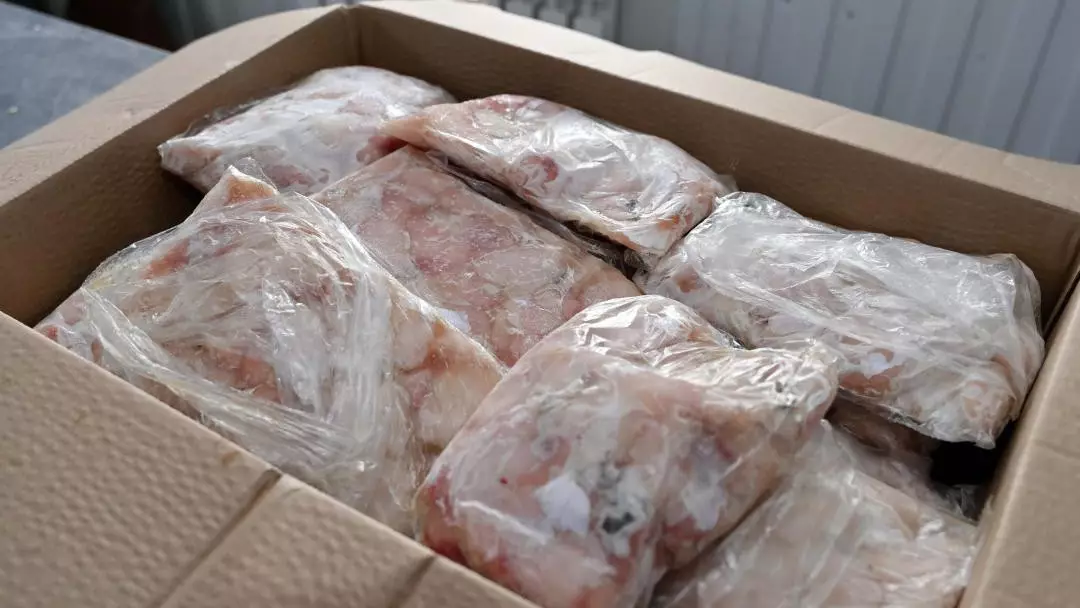 Рыбоперерабатывающий цех в области Абай ежедневно производит 1,5 тонны продукции