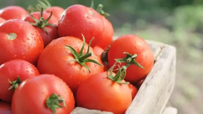В России опровергли запрет на поставки узбекской плодоовощной продукции
