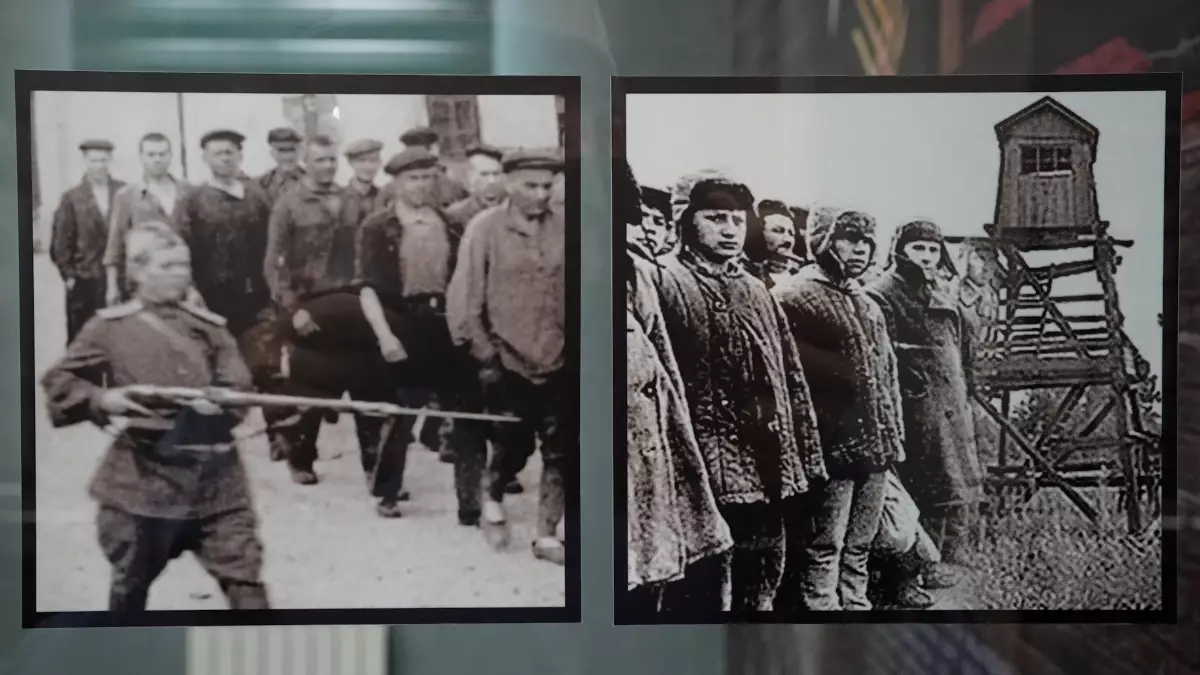 "Денелерін өртеп жіберген": Алаш арыстарының сүйектері қайда, олар қайда жерленген
