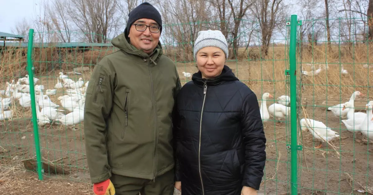  600 құс, 200 қой: Жетісулық кәсіпкер «Ауыл аманаты» арқылы мал мен құс шаруашылығын қатар дамытып отыр 