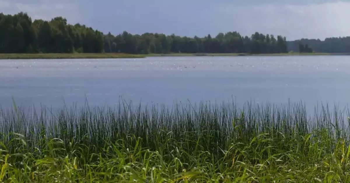  В Павлодарской области из воды достали тела женщины и россиянина 