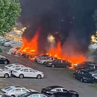 Пенсионер по глупости уничтожил 20 новеньких электрокаров в Китае