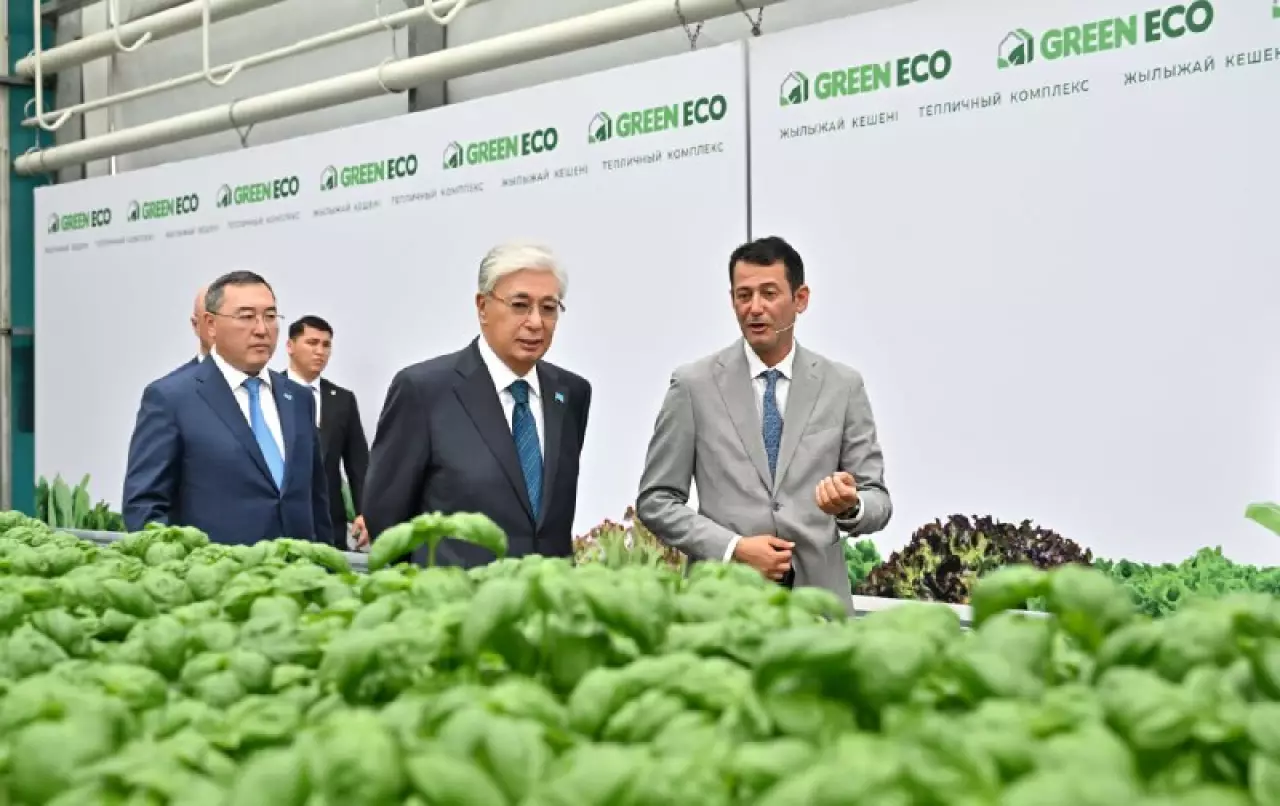 Президенту показали тепличный комплекс GREEN ЕСО