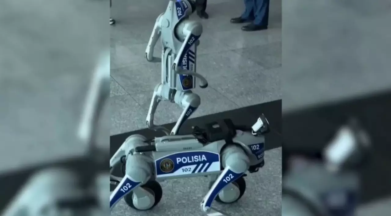 Ақтауда тәртіпті темір төбеттер қадағалайды