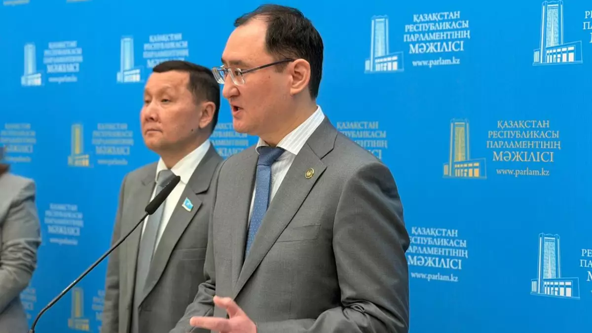 Амнистия для Перизат Кайрат и Бишимбаева? В МВД сделали заявление