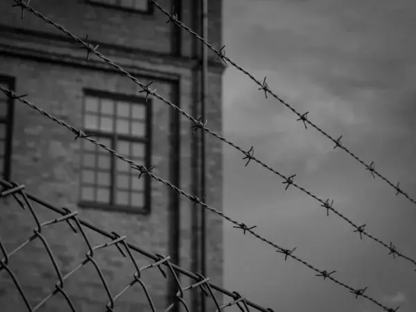 Ішкі істер вице-министрі Бишімбаев пен Қайратқа рақымшылық болмайтынын айтты