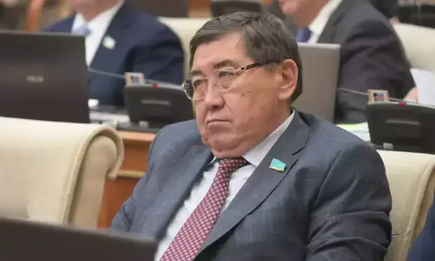 «Президент сөзіне пікір бере алмаймын»: депутат неден сескенді?
