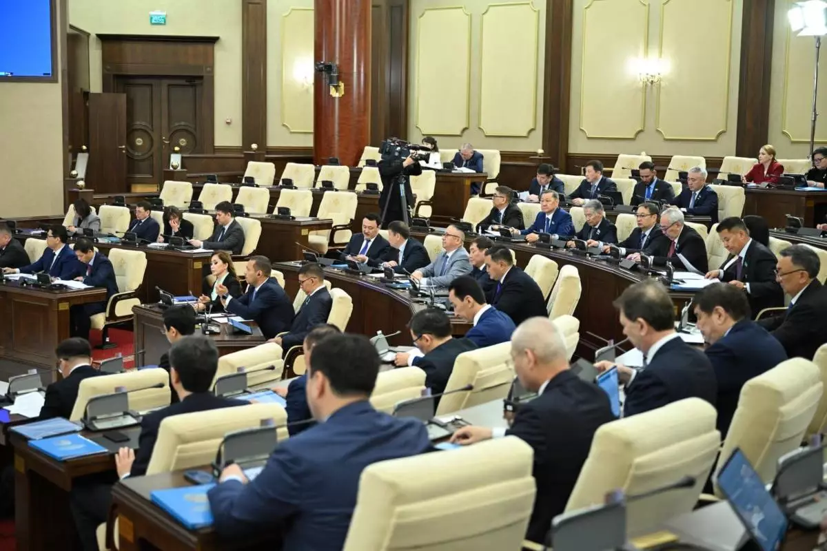 Нәтижелі парламенттік жұмыс: Сарапшылар «Ауыл» партиясының ұстанымына баға берді