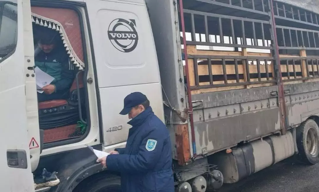  Оралда ветеринариялық бақылау инспекциясының басшысы пара алды деген күдікпен ұсталды 