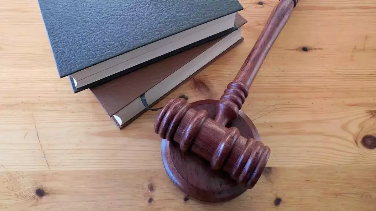 Мәжіліс рақымшылық бойынша жазадан босатылатын адамдар санатын айқындады