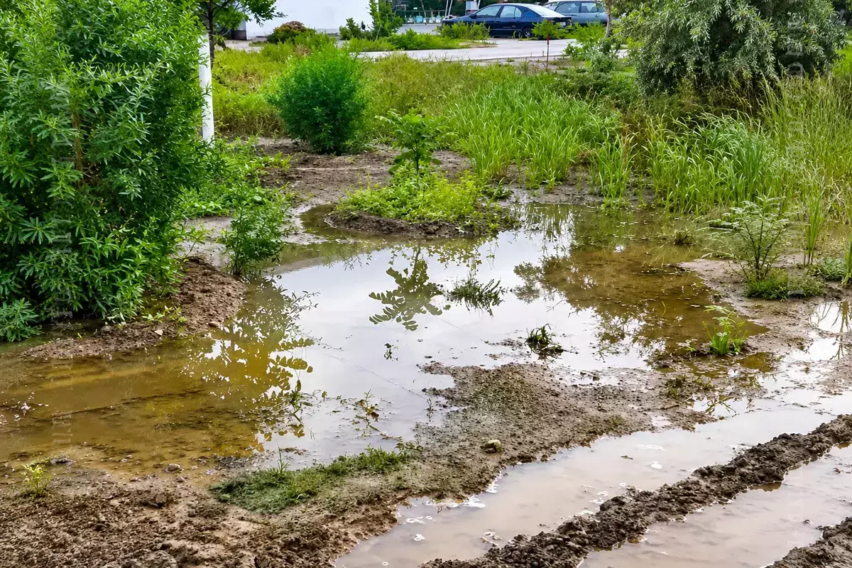 «Полтора месяца вода бьет из-под земли»: жители Актау пожаловались на затянувшуюся аварию - новости на Lada.kz 03.06.2026