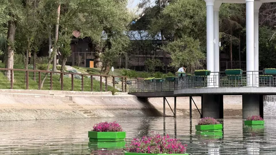 Плавучие цветники украсили озеро Терренкура в Алматы