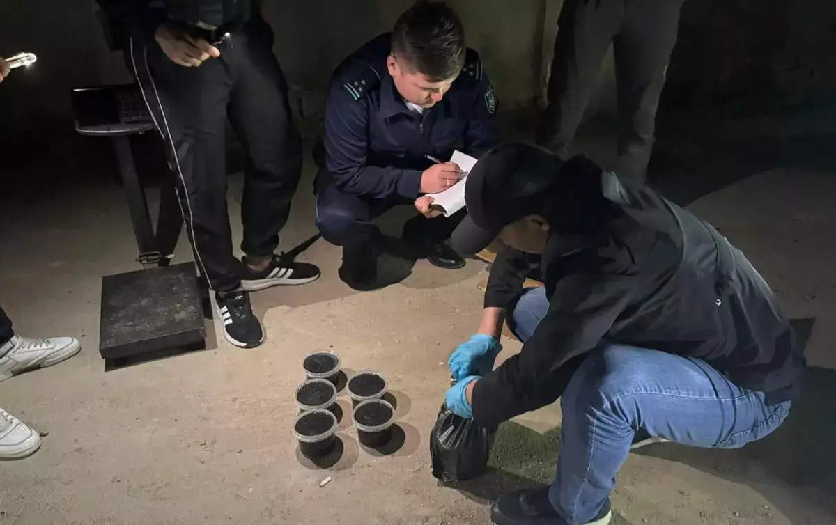 Деликатес с криминальным оттенком: в Мангистау изъяли крупную партию чёрной икры - новости на Lada.kz 04.06.2026