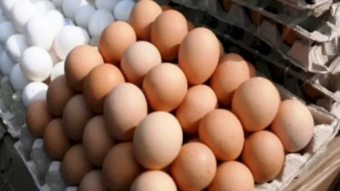  Ресейден әкелінген жұмыртқалар талапқа сай болмай шықты 