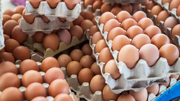 Нелегальную яичную продукцию продавали на рынке в Шымкенте
