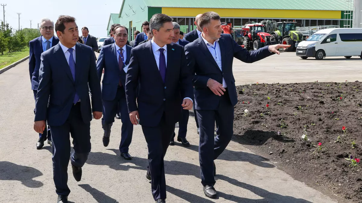 Бектенов проверил развитие сельского хозяйства и переработки в СКО