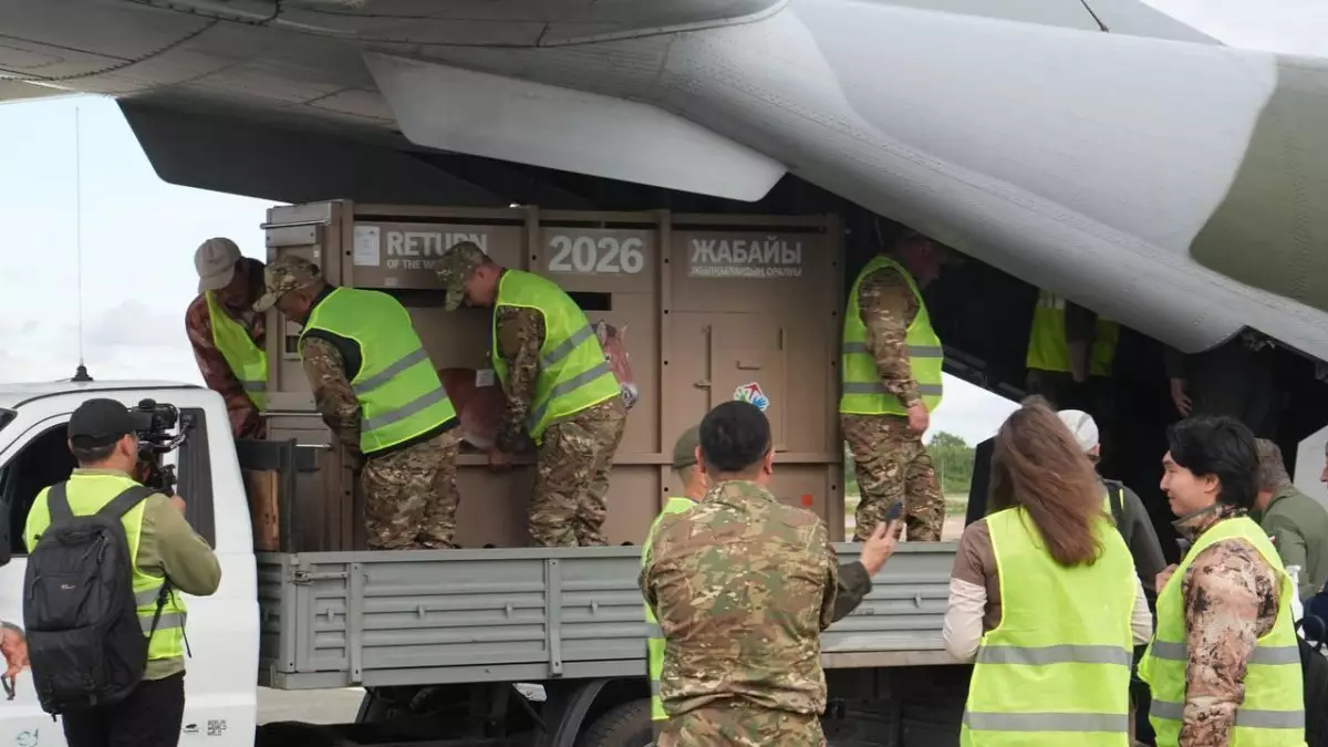 Қазақстанға Германиядан Пржевальский жылқылары әкелінді