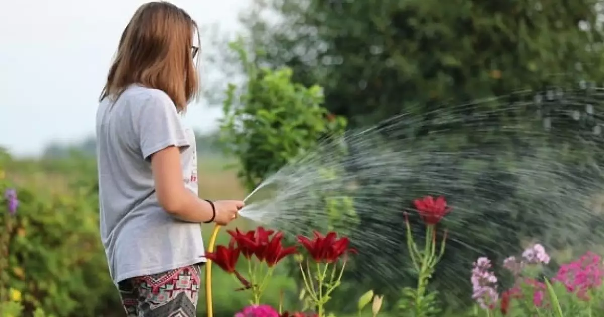  Қазақстанның бірқатар өңірінде +35 градусқа дейін аптап ыстық болады 