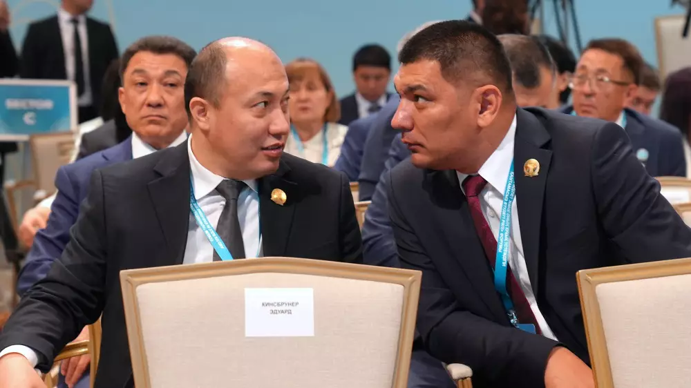 Мемлекет, құлақ ас. Егер шенеунік қателессе, қазақстандық не істеуі керек?