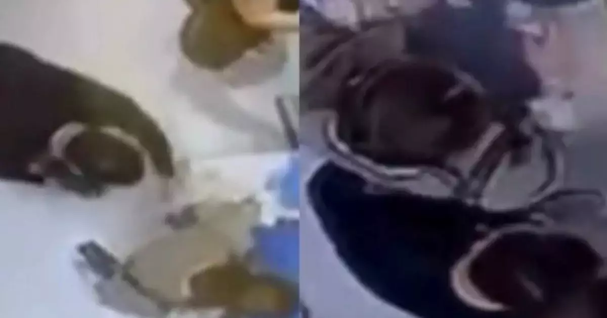  «Снимал видео из-под юбки»: инцидент в столице напугал общественность 