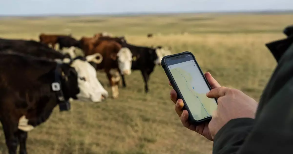  Миллионные убытки: фермеры судятся с поставщиком GPS-услуг 