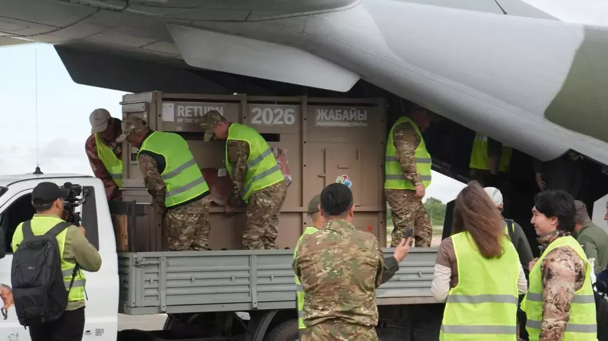 Редких лошадей Пржевальского вновь завезли в Казахстан для восстановления популяции - новости на Lada.kz 06.06.2026