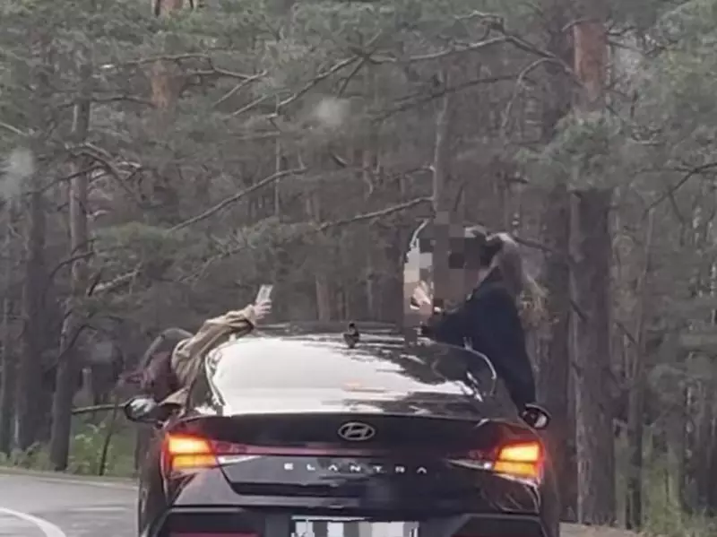 Астанчанки высунулись из окон авто ради видео: водителя наказали