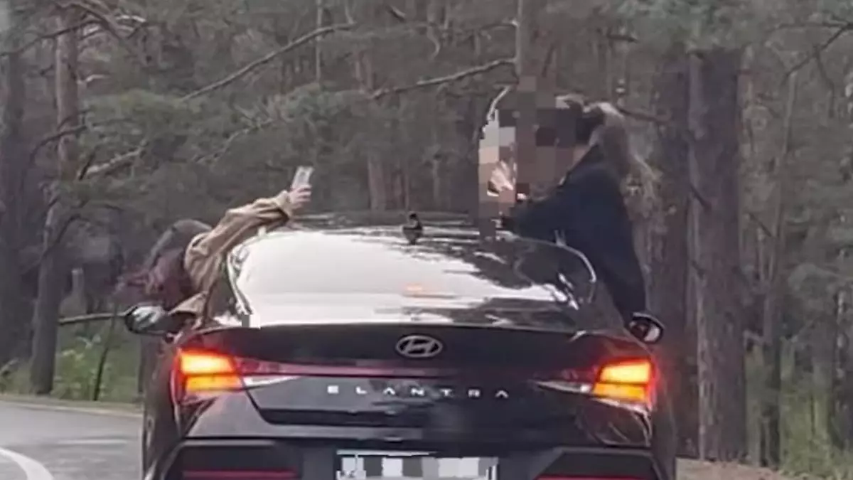 Бурабай жолындағы қауіпті сапар: видео түсірмек болған қыздар мен жүргізуші жазаланды