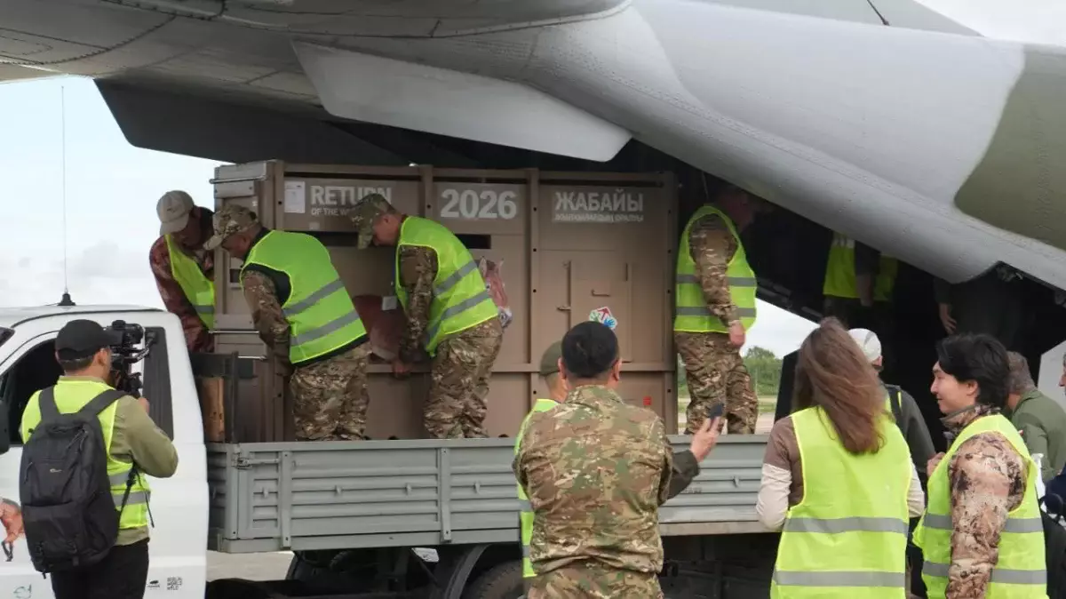 Қазақстанға Пржевальский жылқыларының екінші тобы әкелінді