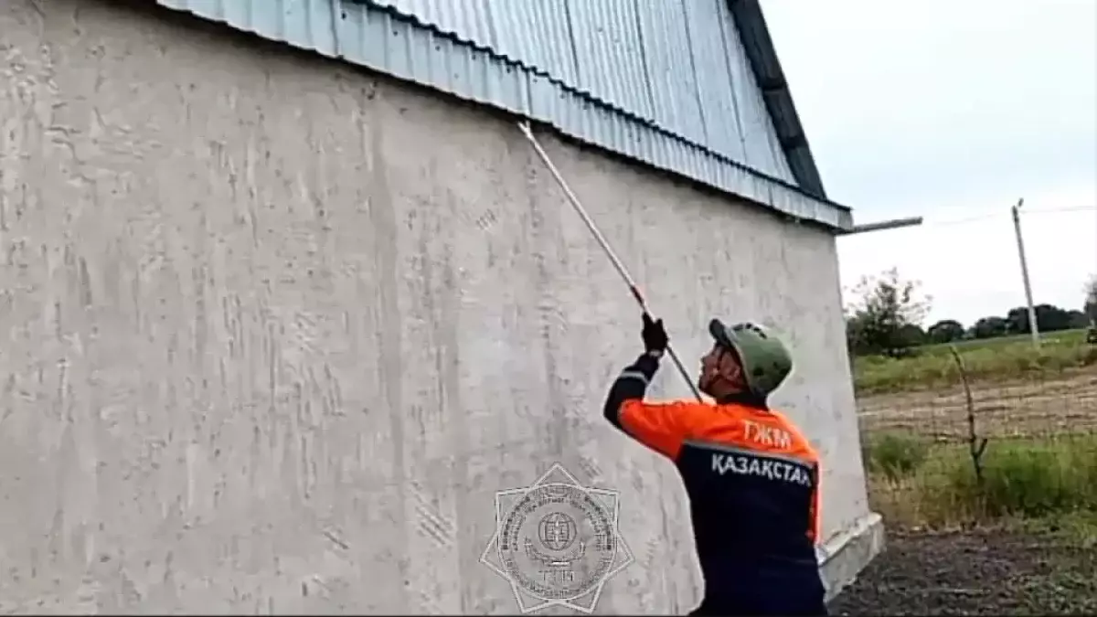 Талдықорғанда тұрғын үйдің шатырынан жылан табылды